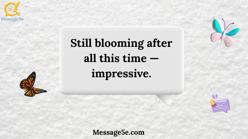 funny-flower-messages-for-anniversaries